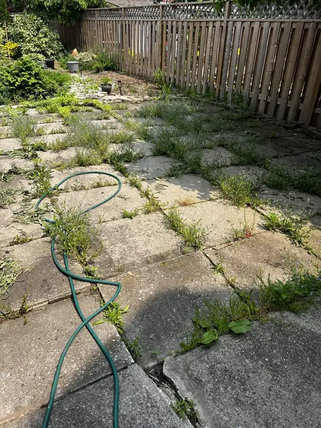 Lawn Aerating, Dethatching, Fertilizing, Top Dressing, Overseed - Photo 8