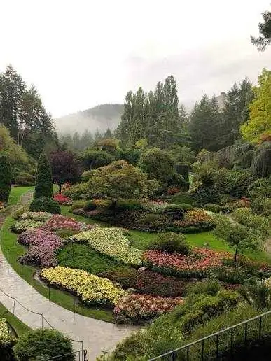 Golden Leaf Company for lawn mowing, garden maintenance & clean - Photo 3