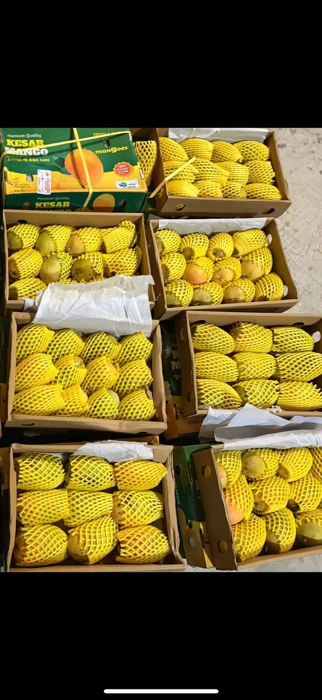 Indian kesar mangos - Photo 3
