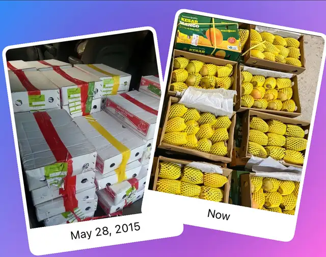 Indian kesar mangos - Photo 4