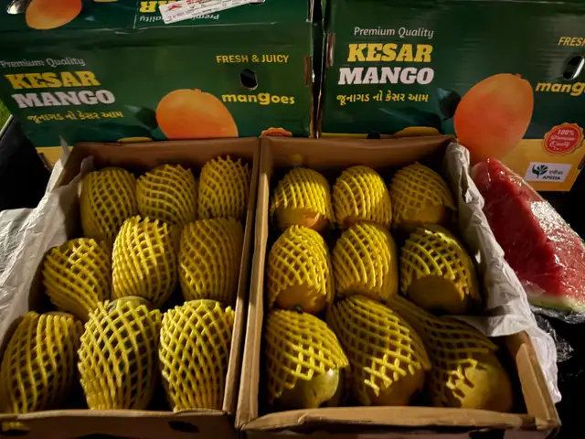 Indian kesar mangos - Photo 5