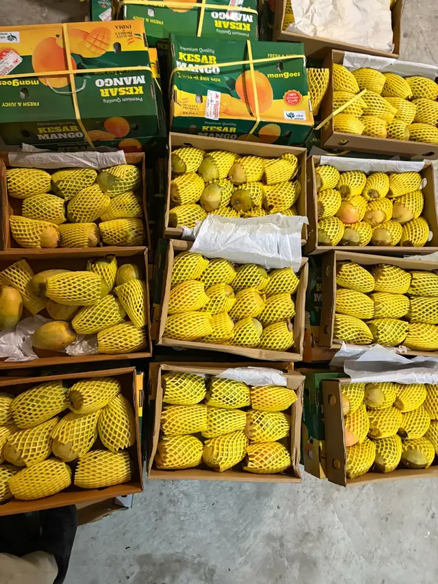 Indian kesar mangos - Photo 6