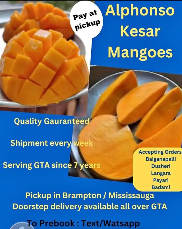 Indian kesar mangos - Photo 7