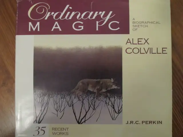 ORDINARY MAGIC by J. R. C. Perkin – 1995 HC