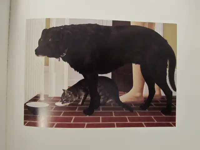 ORDINARY MAGIC by J. R. C. Perkin – 1995 HC - Photo 7