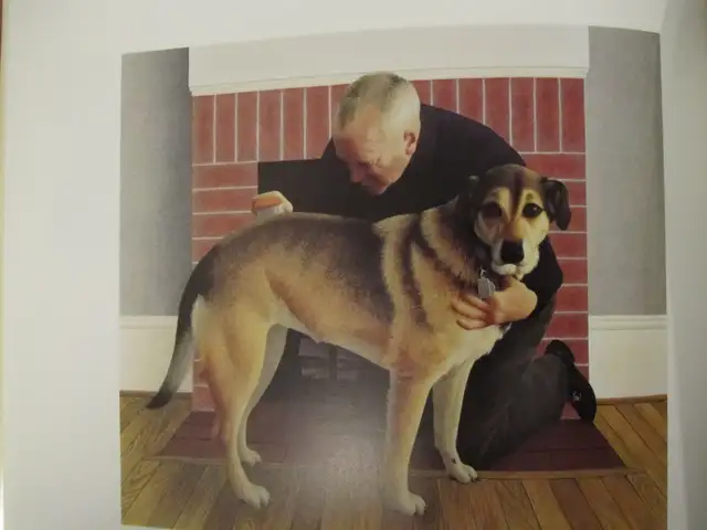 ORDINARY MAGIC by J. R. C. Perkin – 1995 HC - Photo 8