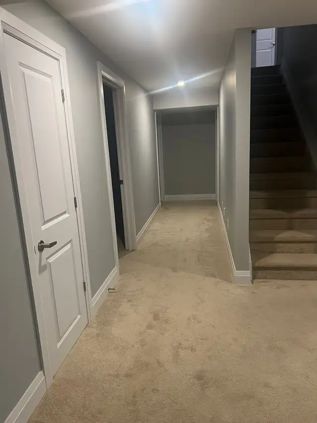 basement for rent
