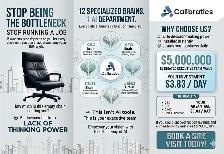 A Plug-In Executive Team