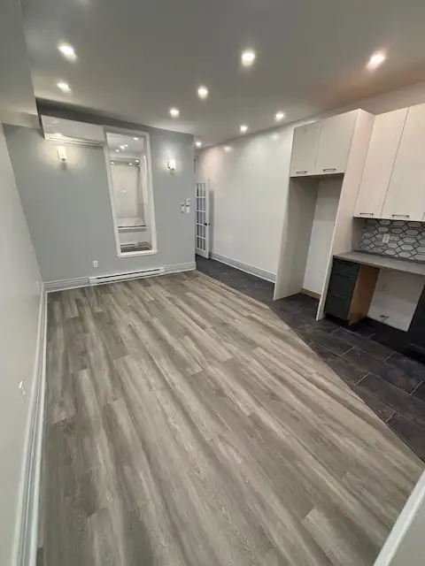 Large Reno 6 1/2. .    Mile End Plateau - Photo 2