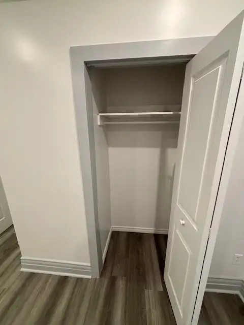 Large Reno 6 1/2. .    Mile End Plateau - Photo 9