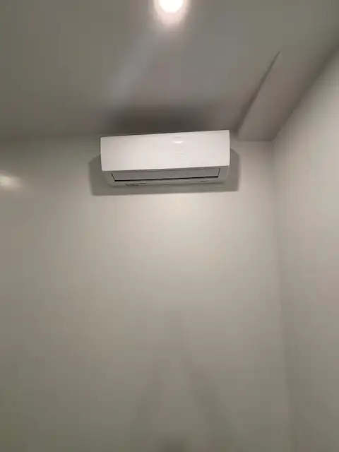 Large Reno 6 1/2. .    Mile End Plateau - Photo 10