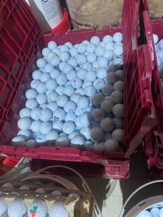 5000 PROV1 INSTOCK NOW - Photo 5