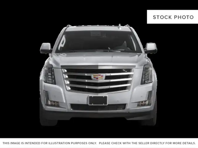2018 Cadillac Escalade LUXURY - Photo 2