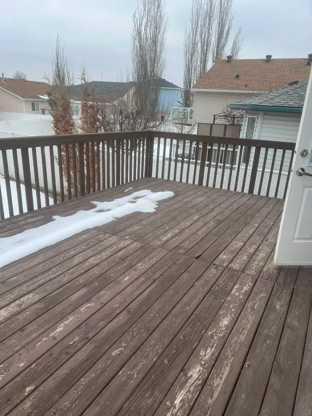 Beautiful house rent available June 1 - Photo 7