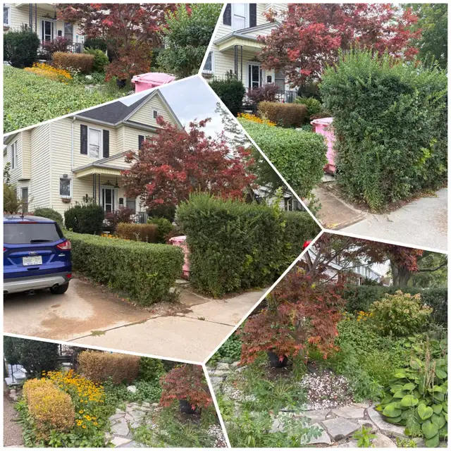 1232 Janette Ave - Photo 9