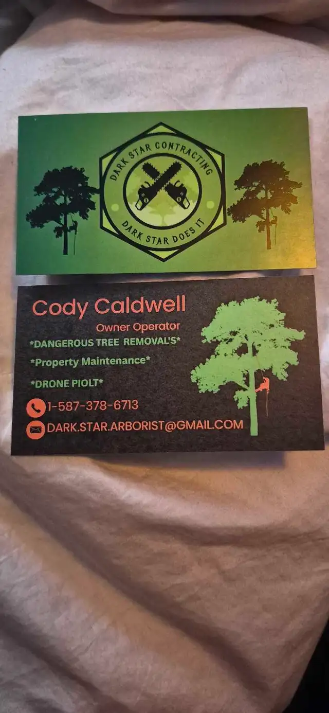 Tree removal, yard clean-up we do it all! - Photo 2