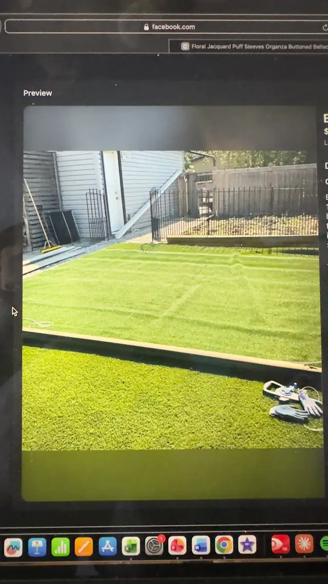 artificial grass / artificial turf