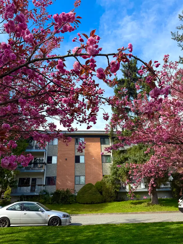 Spacious 1 Bedroom Apartment for Rent - Photo 8