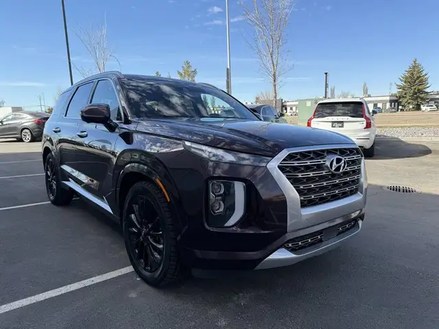 2020 Hyundai PALISADE Limited - Photo 3