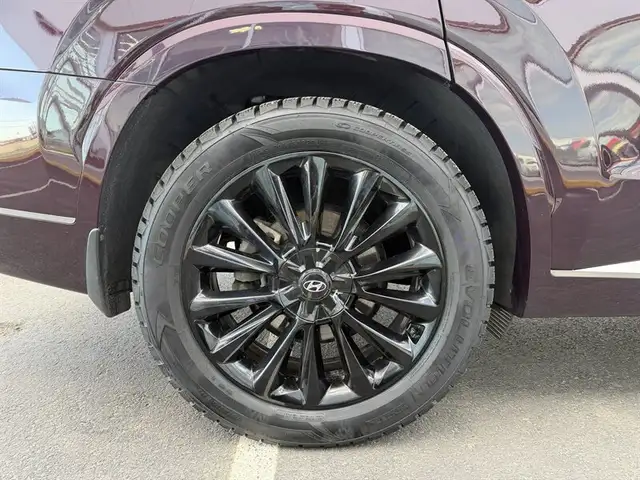 2020 Hyundai PALISADE Limited - Photo 8