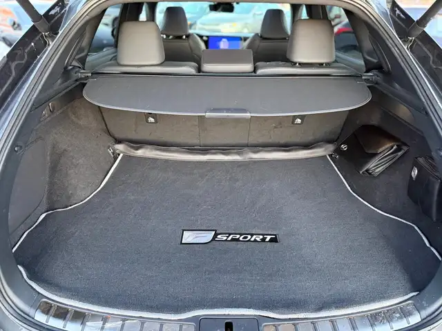 2023 Lexus RX 500h F-Sport Performance - Photo 6