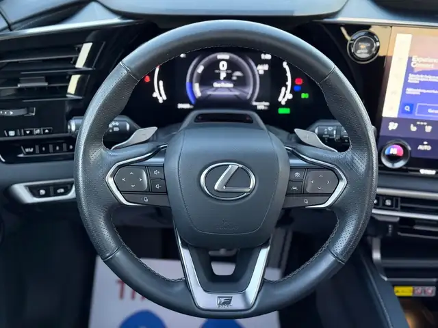 2023 Lexus RX 500h F-Sport Performance - Photo 19