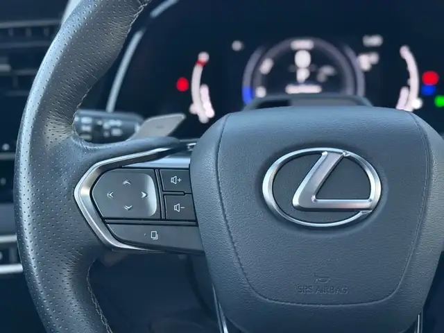 2023 Lexus RX 500h F-Sport Performance - Photo 22
