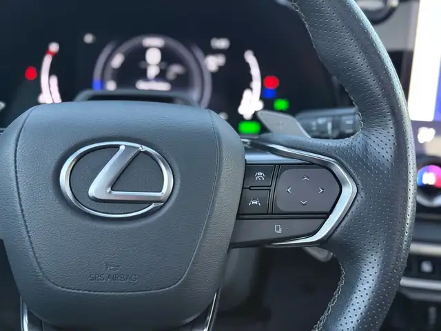 2023 Lexus RX 500h F-Sport Performance - Photo 23