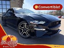 2019 Ford Mustang EcoBoost Premium Power Convertible Top! Rem...
