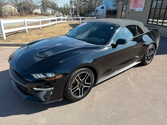 2019 Ford Mustang EcoBoost Premium Power Convertible Top! Rem... - Photo 3