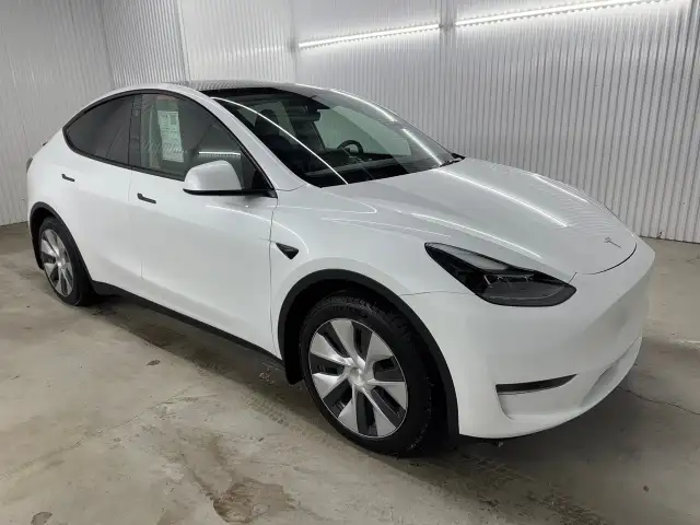 Tesla Model Y Gps Mags Cuir Toit 2024 à vendre - Photo 4