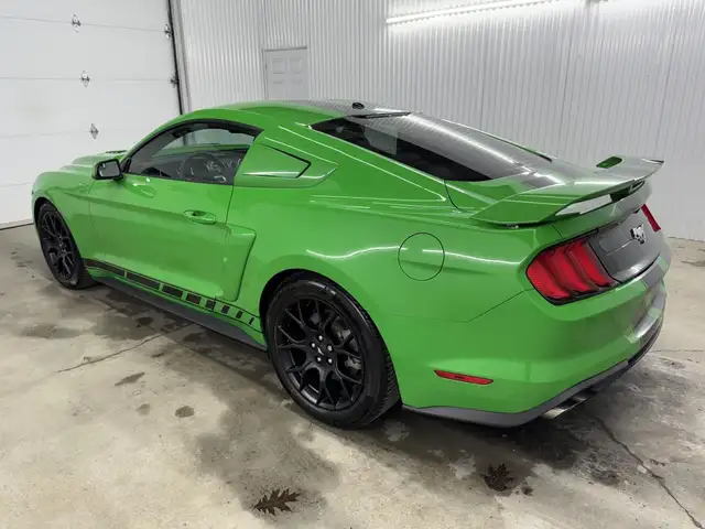 Ford Mustang EcoBoost 2019 à vendre - Photo 13