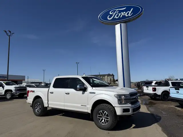 2019 Ford F-150 Platinum / 3.0L POWERSTOKE! / LEVELED! / LOADED! - Photo 2