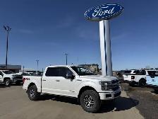 2019 Ford F-150 Platinum / 3.0L POWERSTOKE! / LEVELED! / LOADED! - Photo 2