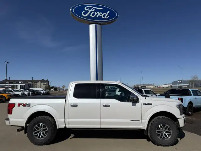 2019 Ford F-150 Platinum / 3.0L POWERSTOKE! / LEVELED! / LOADED! - Photo 3