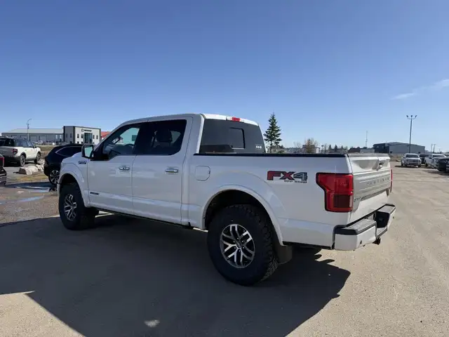 2019 Ford F-150 Platinum / 3.0L POWERSTOKE! / LEVELED! / LOADED! - Photo 4