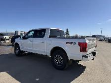 2019 Ford F-150 Platinum / 3.0L POWERSTOKE! / LEVELED! / LOADED! - Photo 4