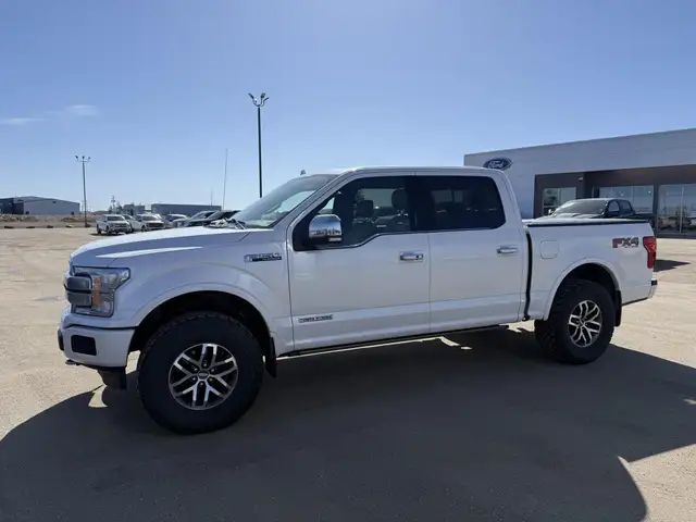 2019 Ford F-150 Platinum / 3.0L POWERSTOKE! / LEVELED! / LOADED! - Photo 5