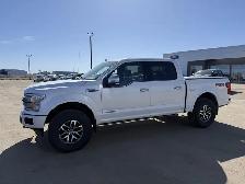 2019 Ford F-150 Platinum / 3.0L POWERSTOKE! / LEVELED! / LOADED! - Photo 5