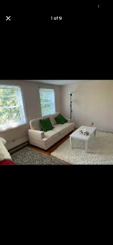 Beautiful Couch & Free Delivery