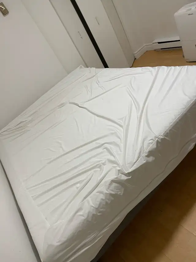 Beautiful Couch & Free Delivery - Photo 5