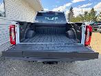 2026 Ford F-350 PLATINUM w/FX4, 5th WHL PREP, MNRF & 2KW PRO PWR - Photo 16