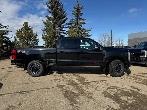 2026 Ford F-350 PLATINUM w/FX4, 5th WHL PREP, MNRF & 2KW PRO PWR - Photo 2