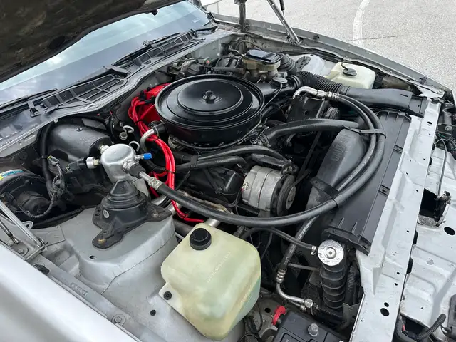 1985 Pontiac Firebird Automatic Am - Photo 19