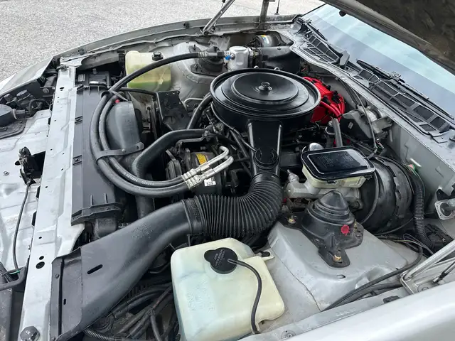 1985 Pontiac Firebird Automatic Am - Photo 20