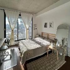 Downtown new Studio 1300$