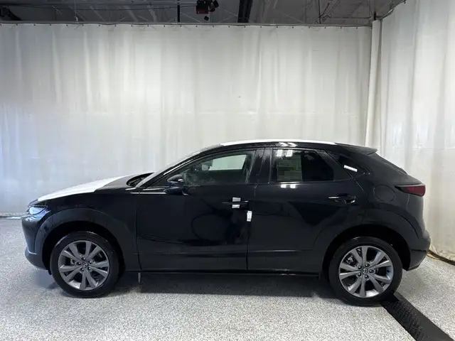 2026 Mazda CX-30 GS AWD - Photo 5