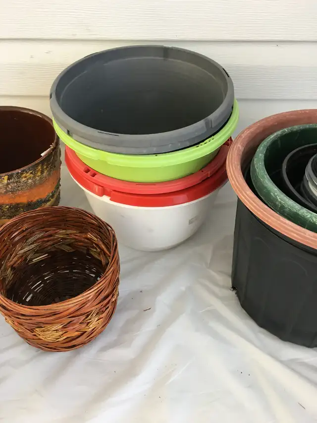 Contenants divers pour semences / jardinage - Photo 4