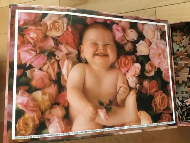 Casse-têtes (10 CT), 500 pièces (I) - Photo 10