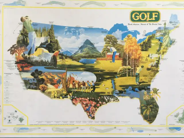 Casse-têtes / Puzzles (9 CT), 500 @ 550 LARGE pièces (II) - Photo 7